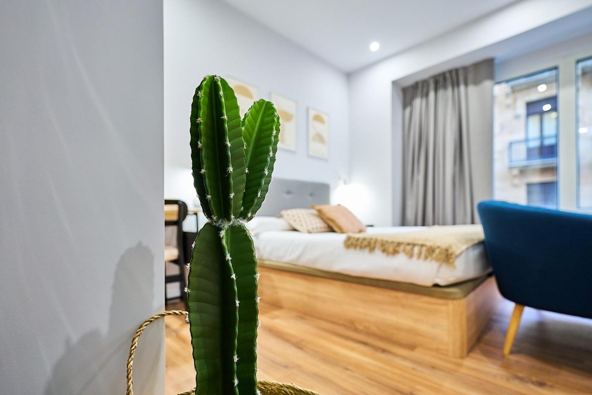 Apartamentos Esperanza By Gaiarooms Саламанка Екстериор снимка